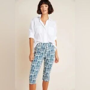 Pilcro and the Letterpress Blue Leaf Print Pants Sz 27/4